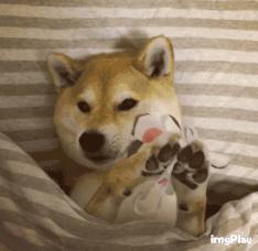 全世界都在吃“四鸭cp”的瓜，而我只关心弟弟的毛孔粗大...