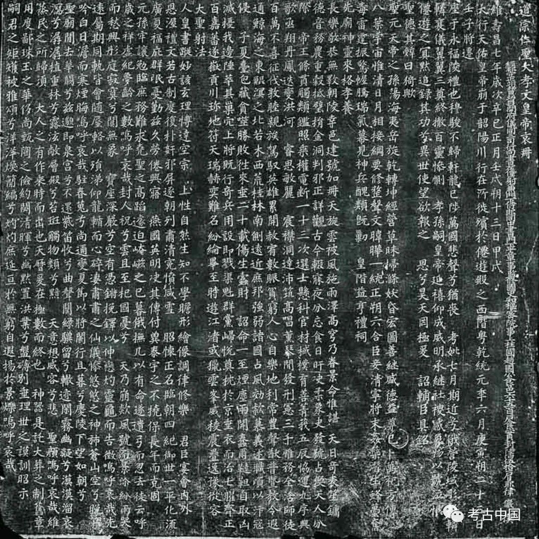 苗壮简介,苗壮河北沧州