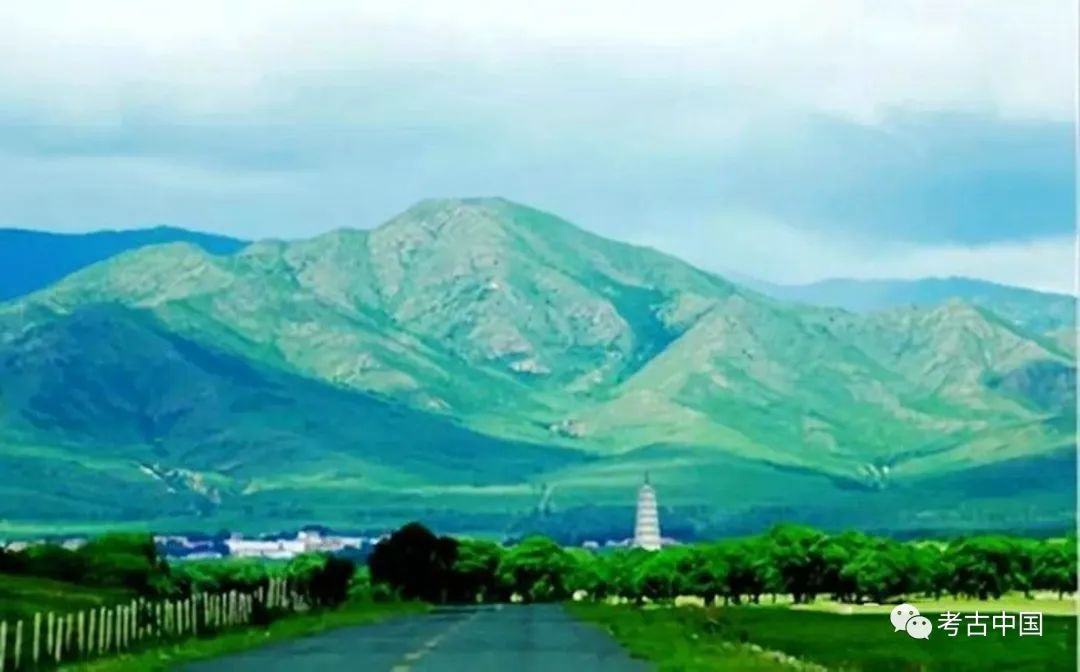 苗壮简介,苗壮河北沧州