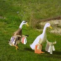 一元秒杀！买就送！杭州这场60多万人围观的“抢购大战”，你抢到了吗？