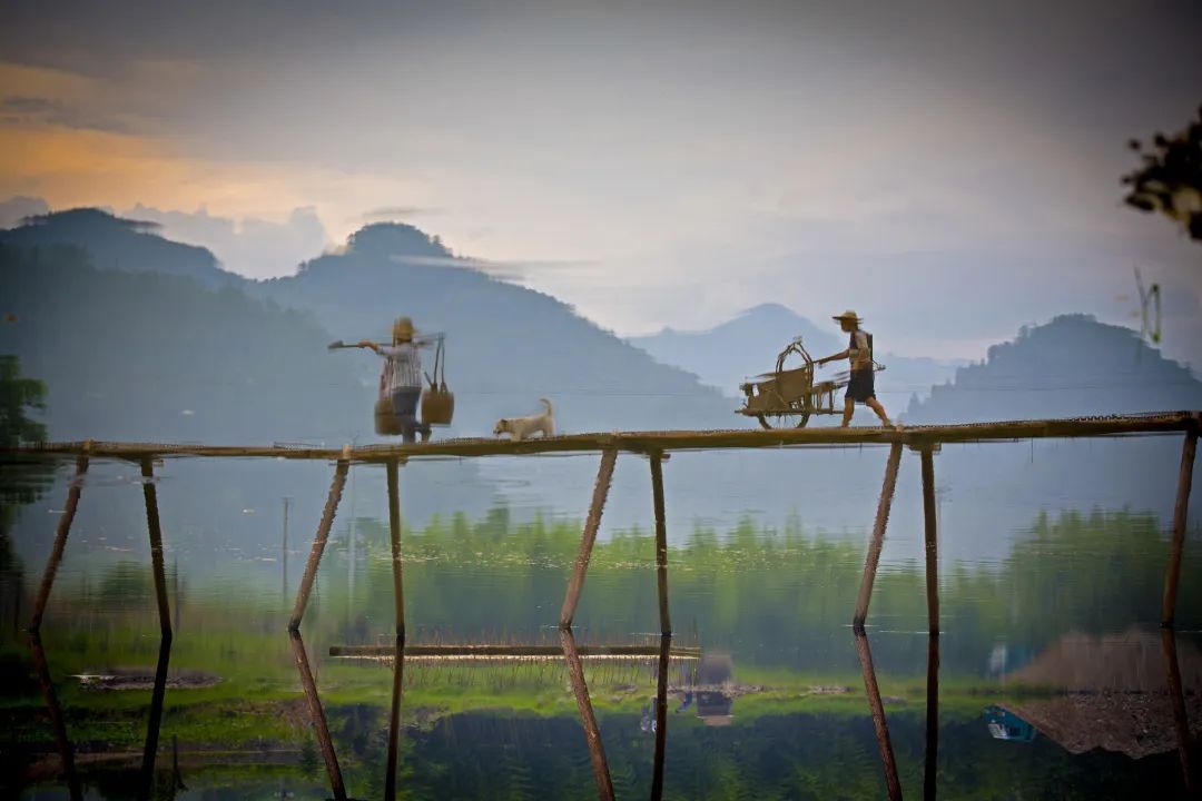 绩溪龙川免票攻略,龙川绩溪景区晚上门票