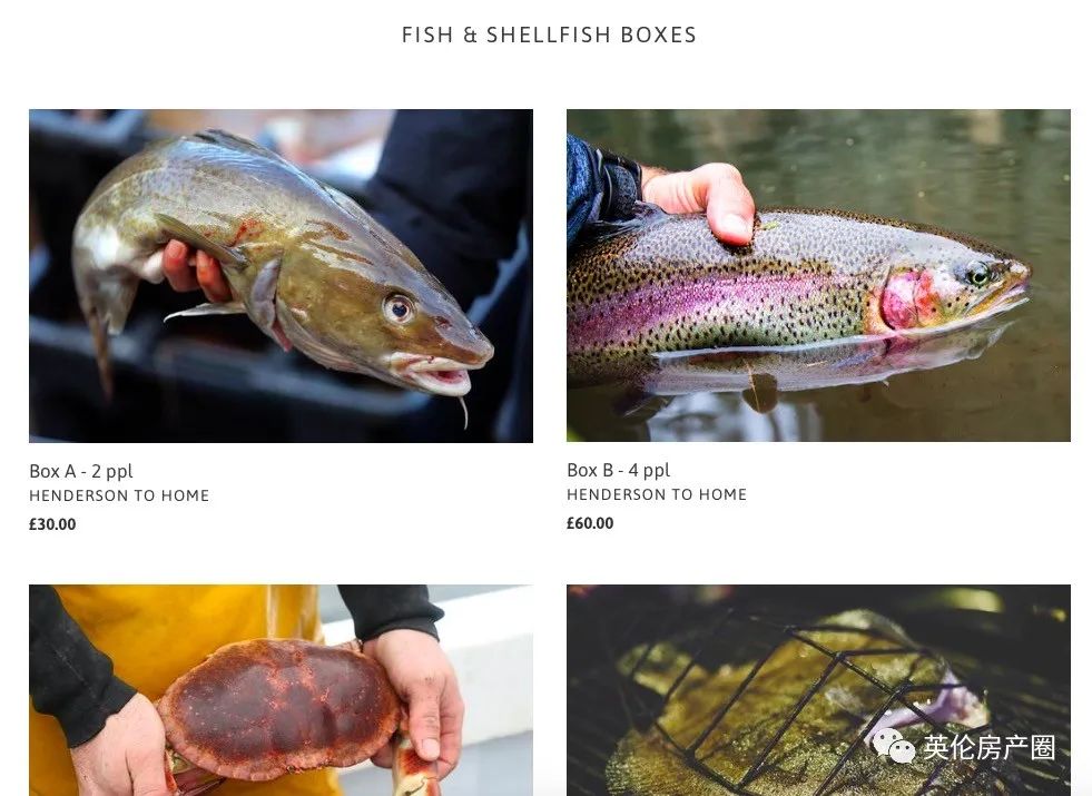 瀹呭鍥よ揣鍏ㄩ泦,鑻卞浗瀹呭鍥よ揣缃戝簵鎸囧崡