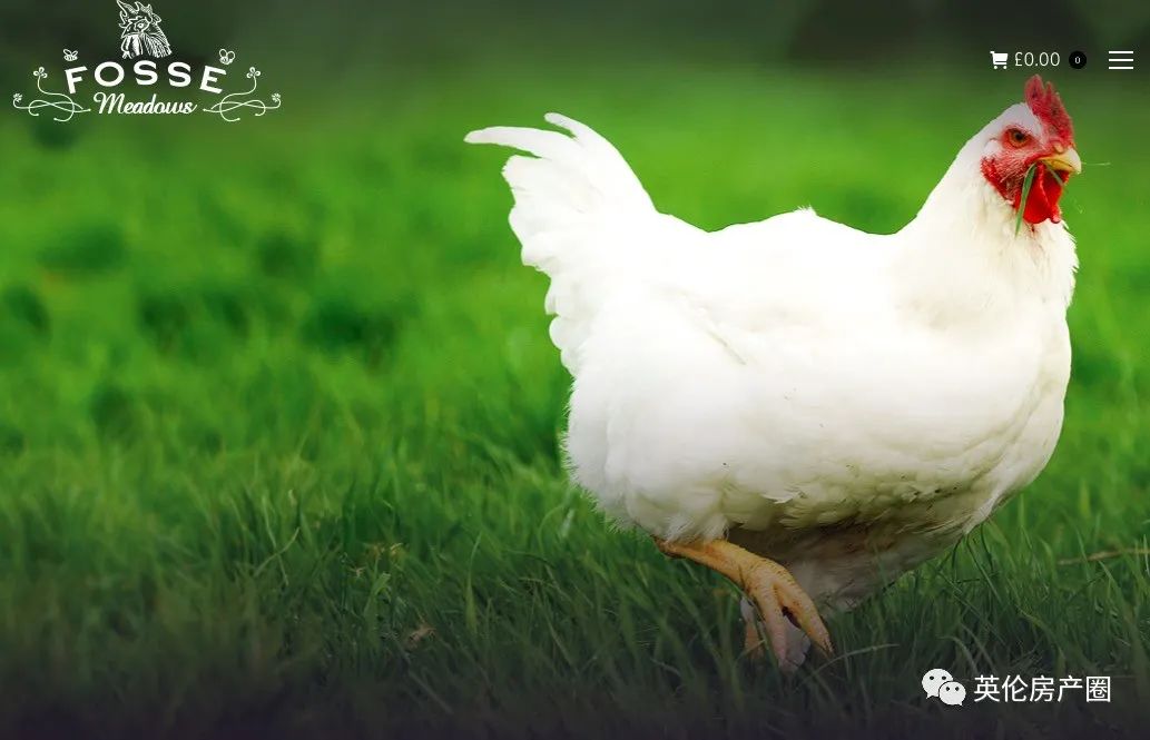 瀹呭鍥よ揣鍏ㄩ泦,鑻卞浗瀹呭鍥よ揣缃戝簵鎸囧崡