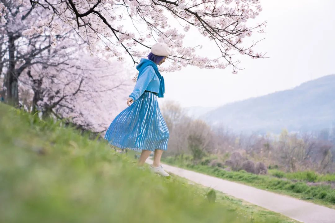 四月种花最好季节,四月如期而至种草