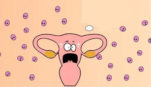 试管婴儿如何安全到预产期,如何保障试管宝宝健康出生