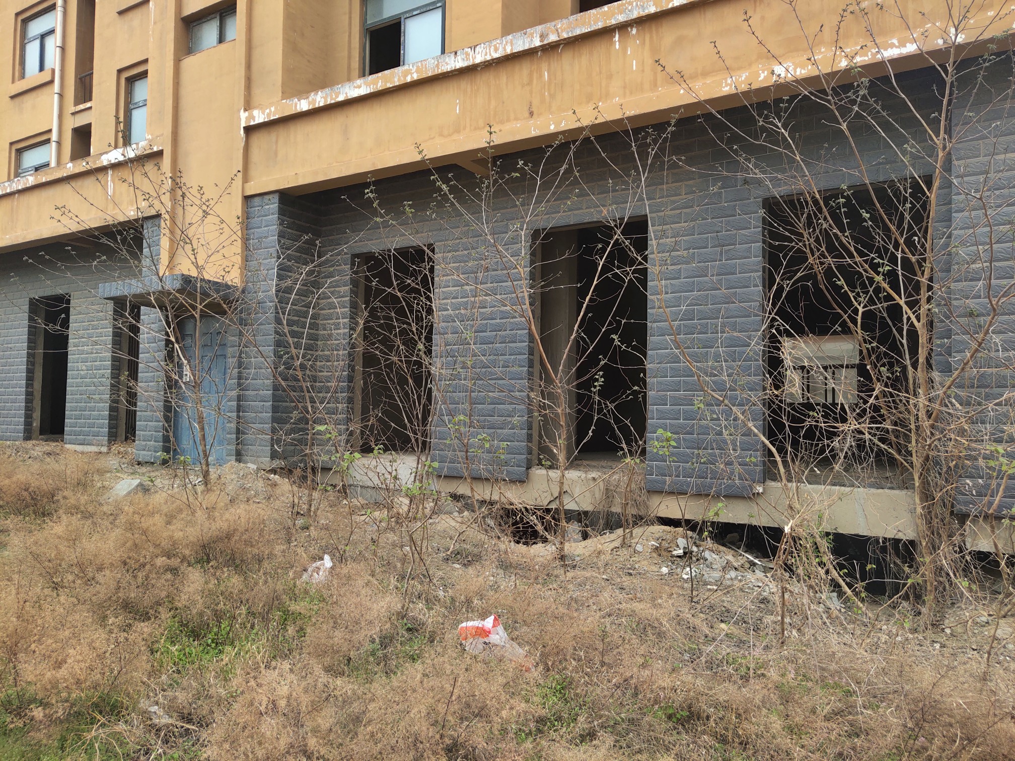 大河调查金御华庭进展,开封金御华庭现状