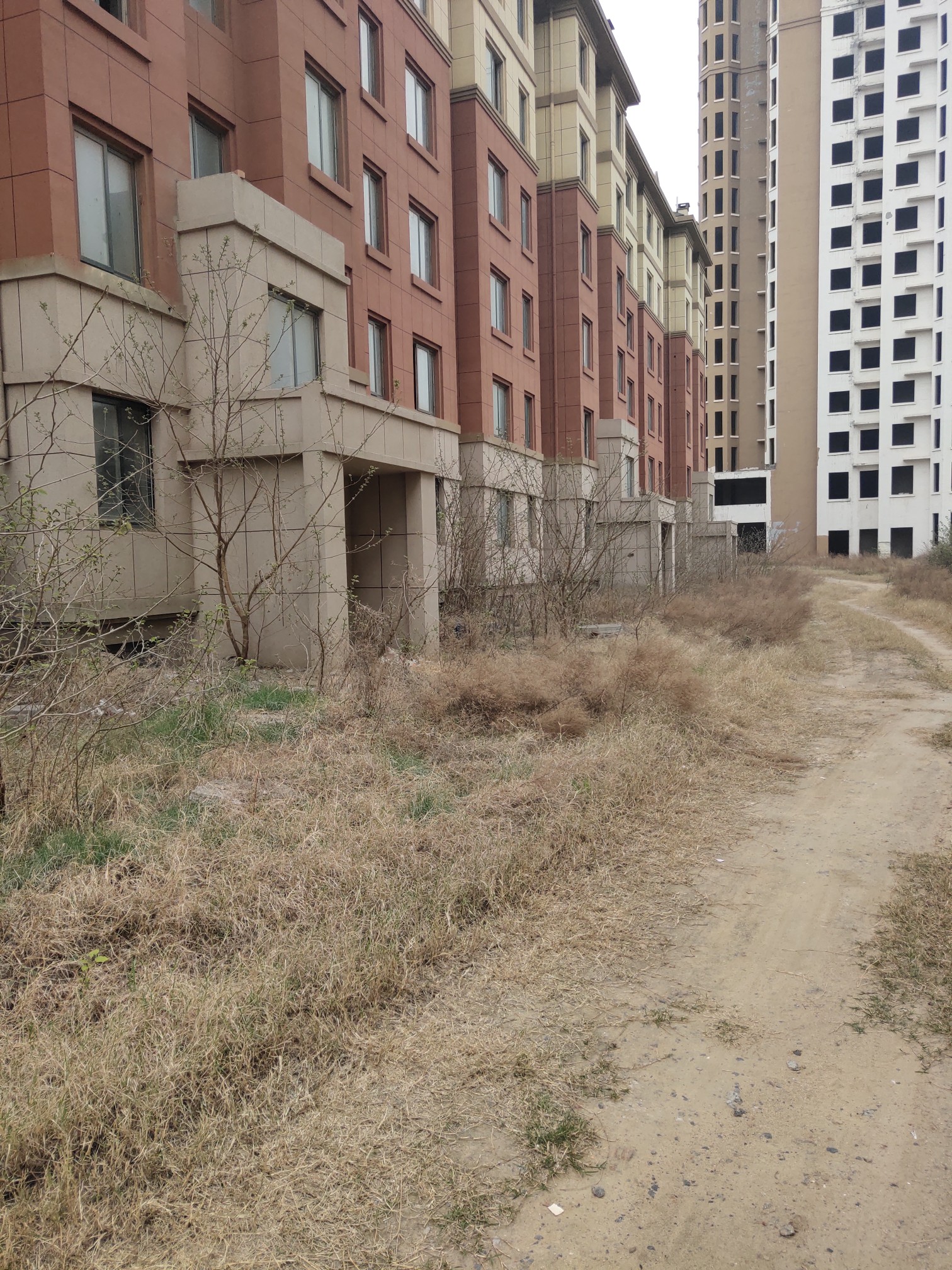 大河调查金御华庭进展,开封金御华庭现状