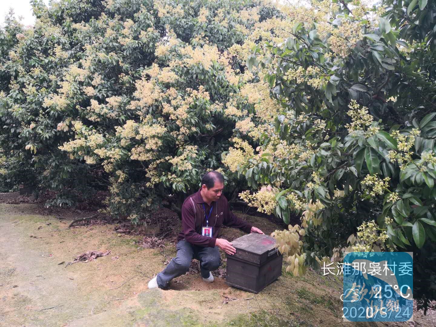 小董团队招人,小董招人