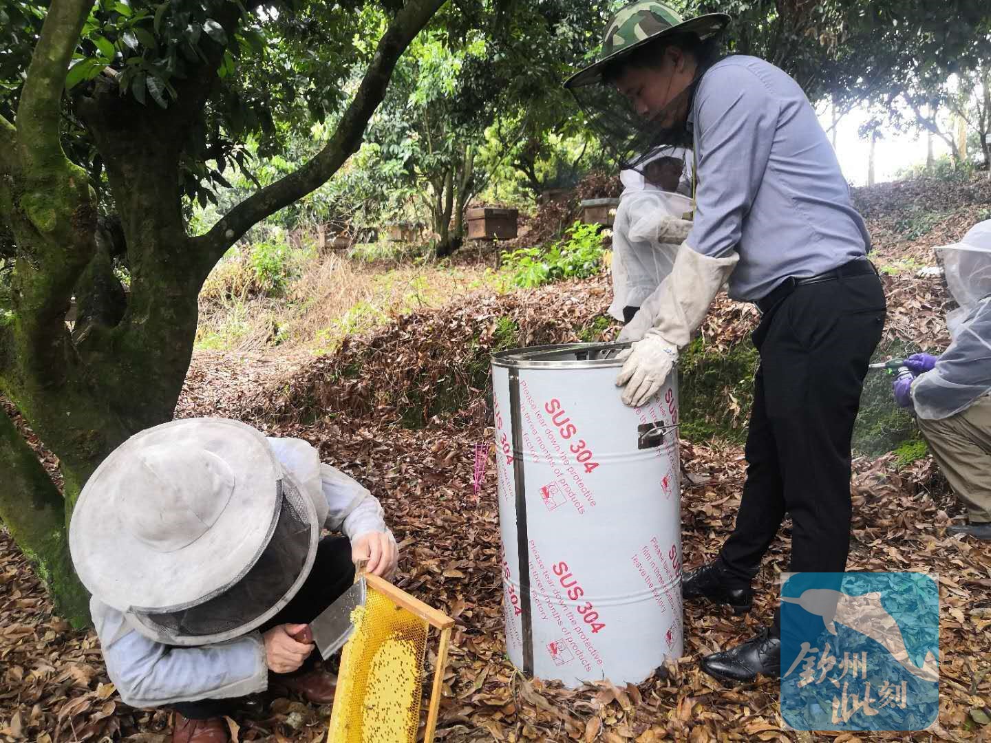小董团队招人,小董招人