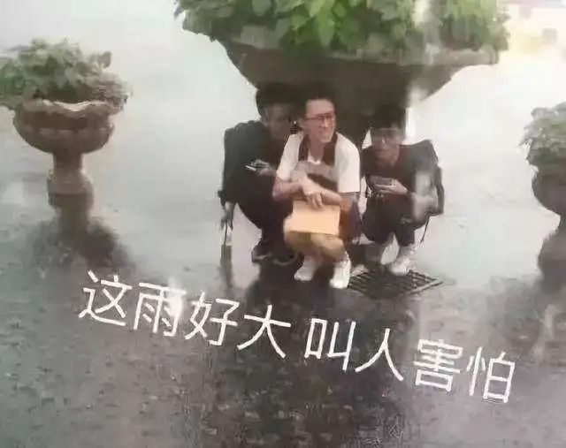 暴雨引发的疾病,暴雨容易引发的疾病