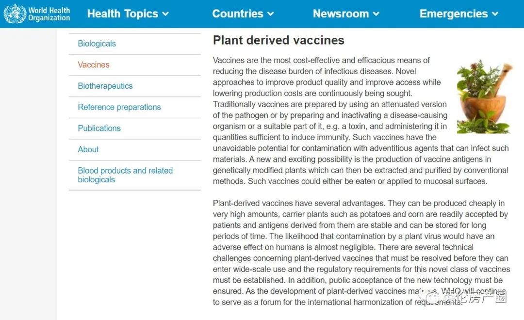 张文宏教授为英国华人专场讲座整理来了:少出门多休息,多吃水果鸡蛋喝牛奶