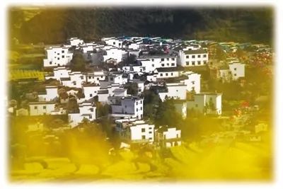 人民日报海外版专访江西省长易炼红：江西中医药发展风景正好