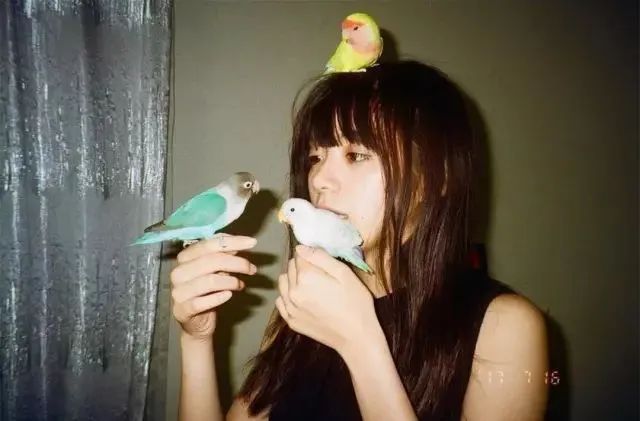 美人计|因胸太大被全网*制抵**，这位日剧女主角实惨