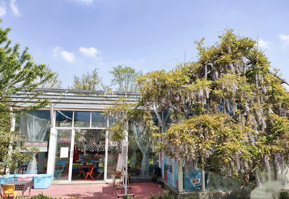 成都周边清明一日游景点推荐,打卡成都周边9个超美郊游圣地