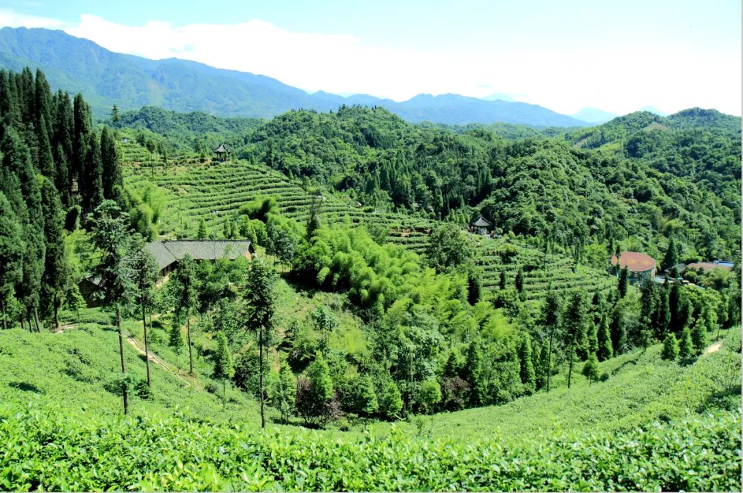 成都周边清明一日游景点推荐,打卡成都周边9个超美郊游圣地