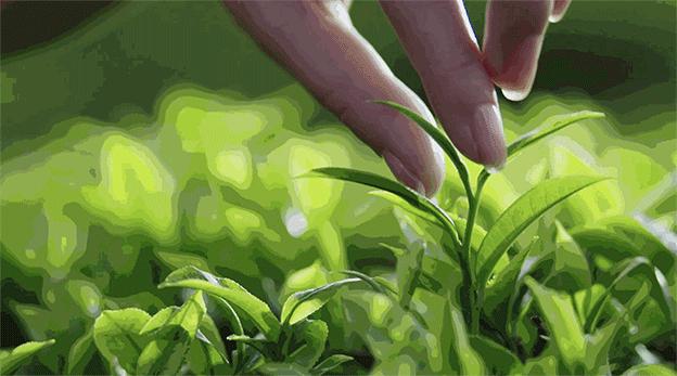 成都周边清明一日游景点推荐,打卡成都周边9个超美郊游圣地