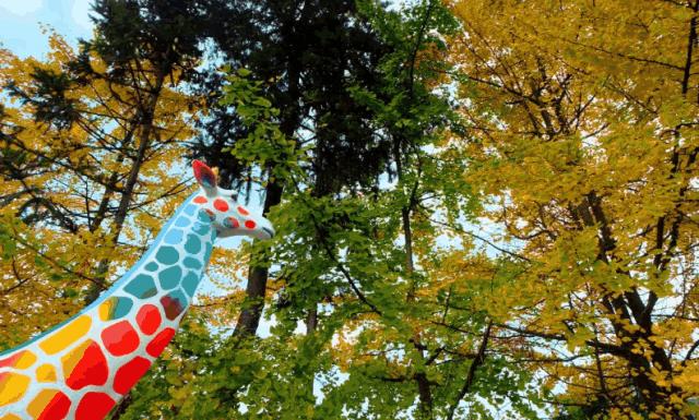 成都周边清明一日游景点推荐,打卡成都周边9个超美郊游圣地