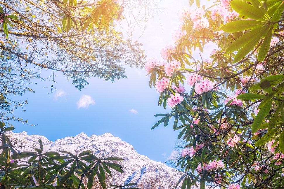 成都周边清明一日游景点推荐,打卡成都周边9个超美郊游圣地