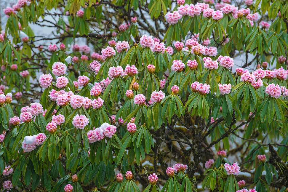 成都周边清明一日游景点推荐,打卡成都周边9个超美郊游圣地