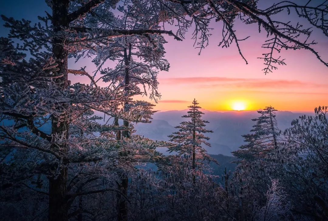 成都周边清明一日游景点推荐,打卡成都周边9个超美郊游圣地