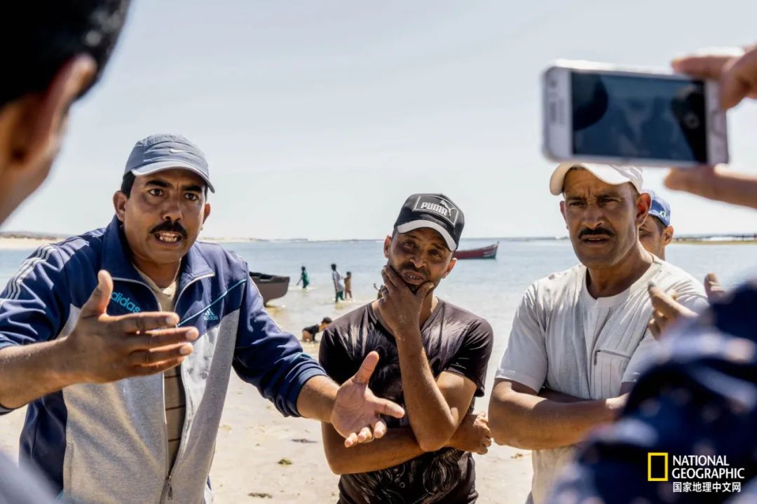 我们正用病毒传播的速度,把海参吃光