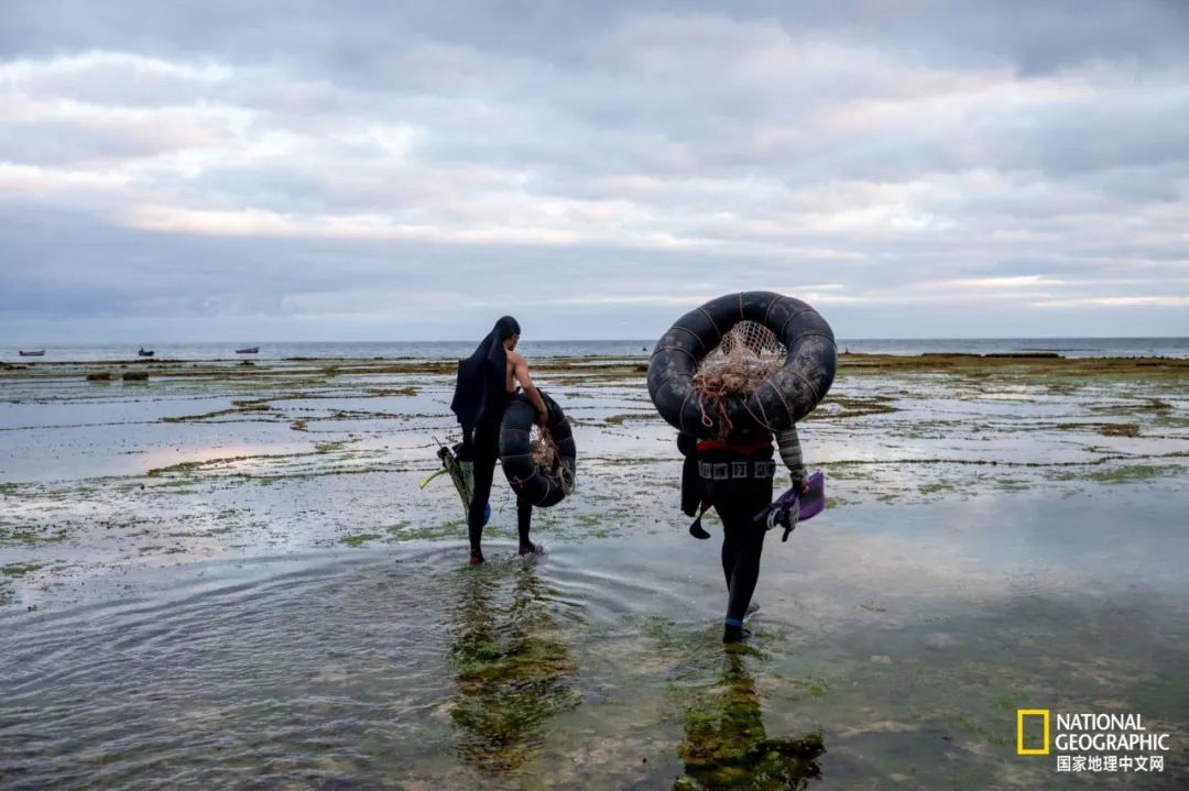 我们正用病毒传播的速度,把海参吃光