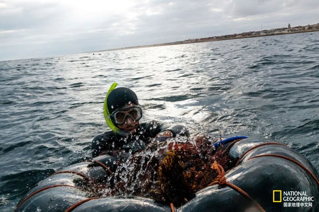 我们正用病毒传播的速度,把海参吃光
