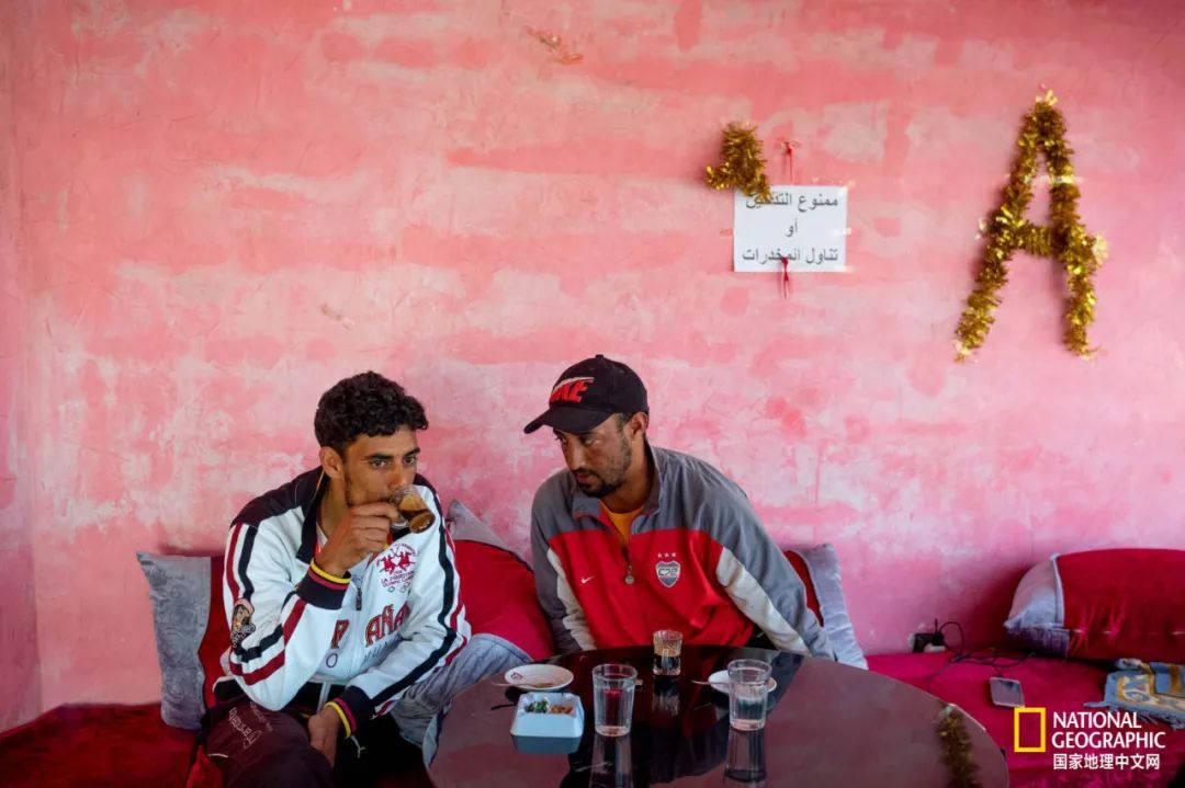 我们正用病毒传播的速度,把海参吃光