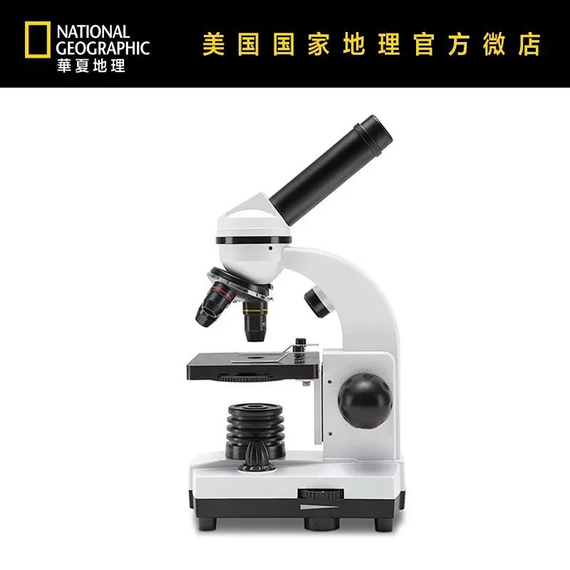 我们正用病毒传播的速度,把海参吃光