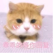 安耐晒防晒霜网红测评,安热沙网红防晒霜