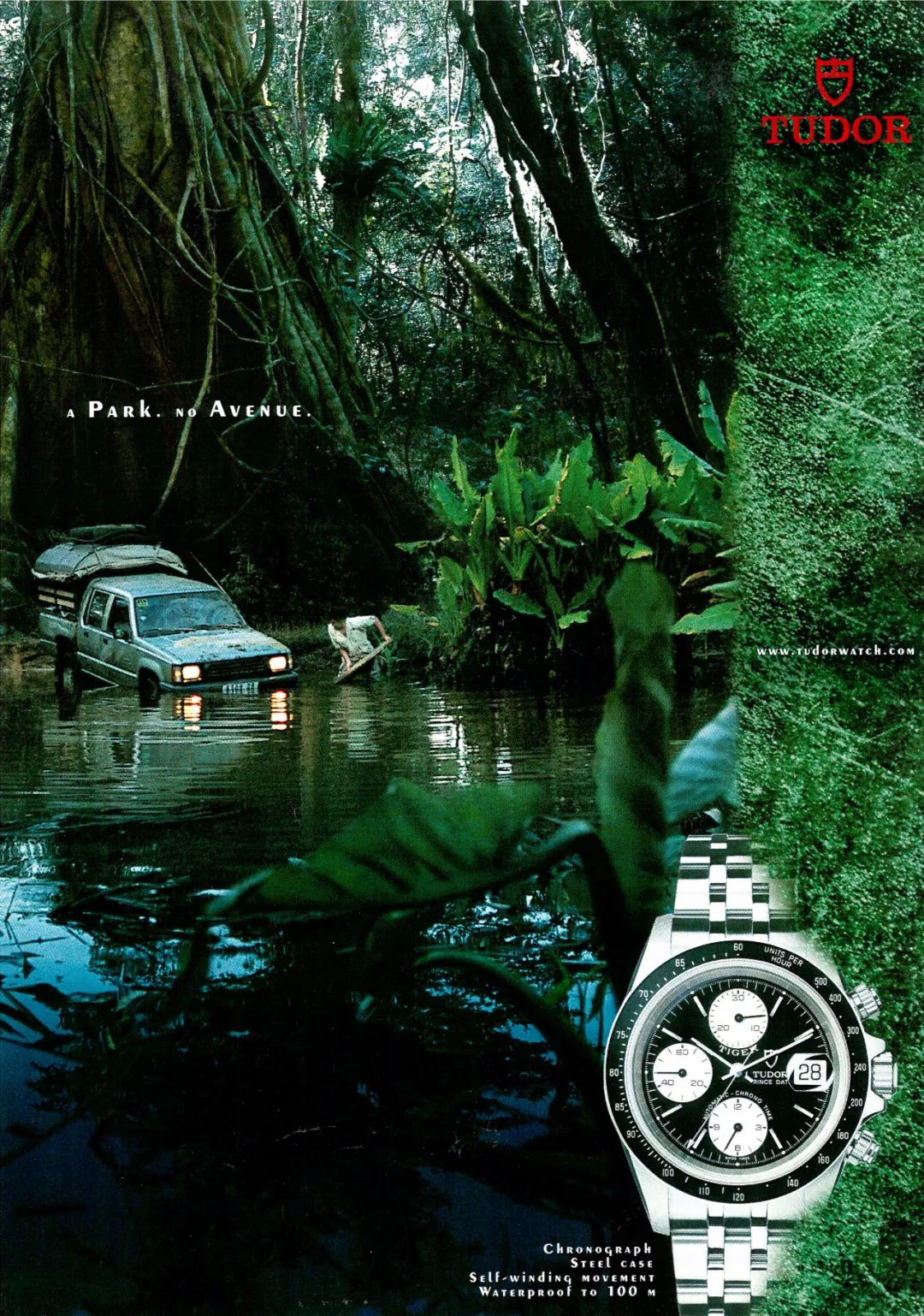 你品你细品经典视频,你品你细品视频作者