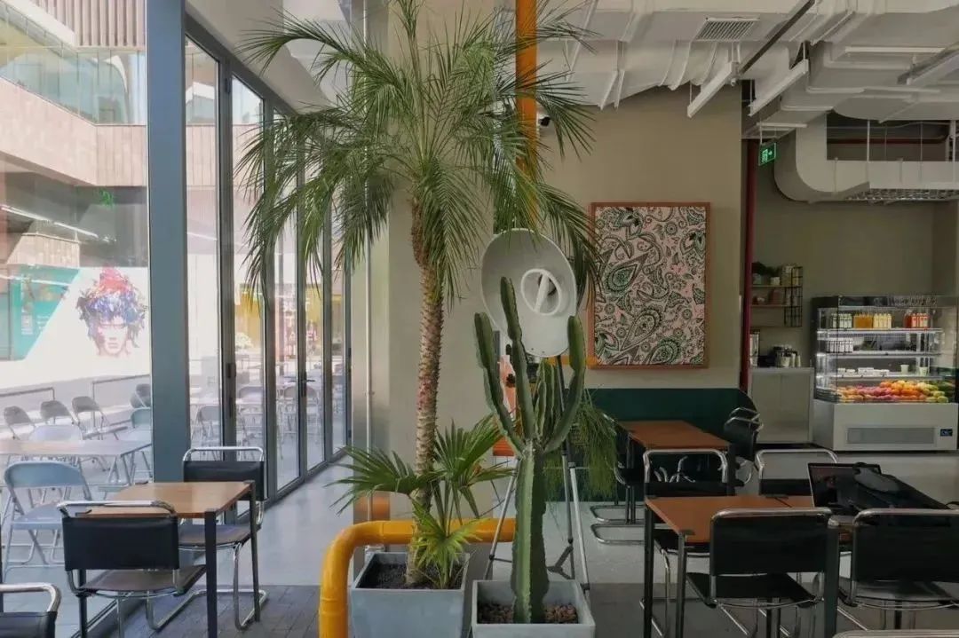 我们为什么离不开面包（内含福利）丨寻味