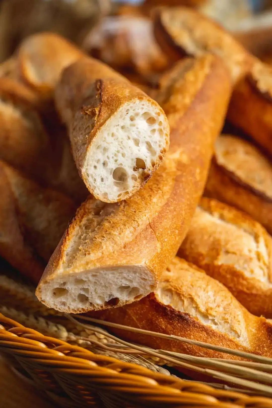 我们为什么离不开面包（内含福利）丨寻味