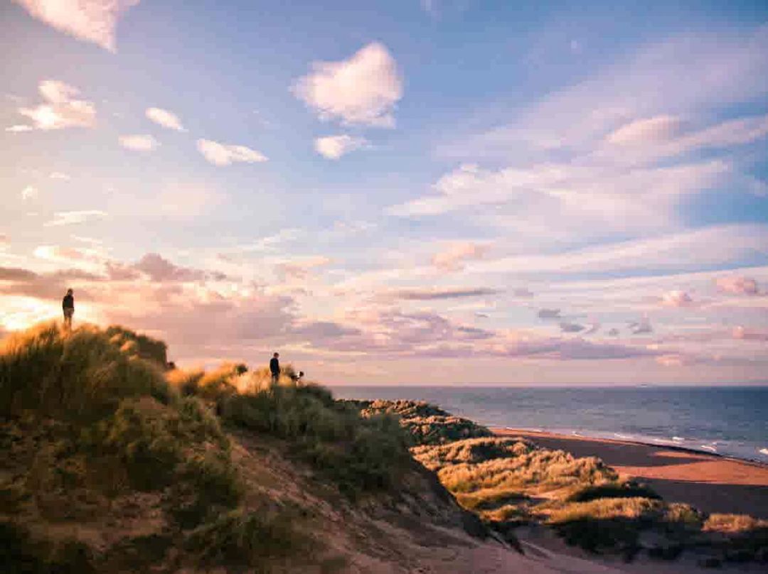 曾奇峰疫情课感悟,曾奇峰谈疫情控制