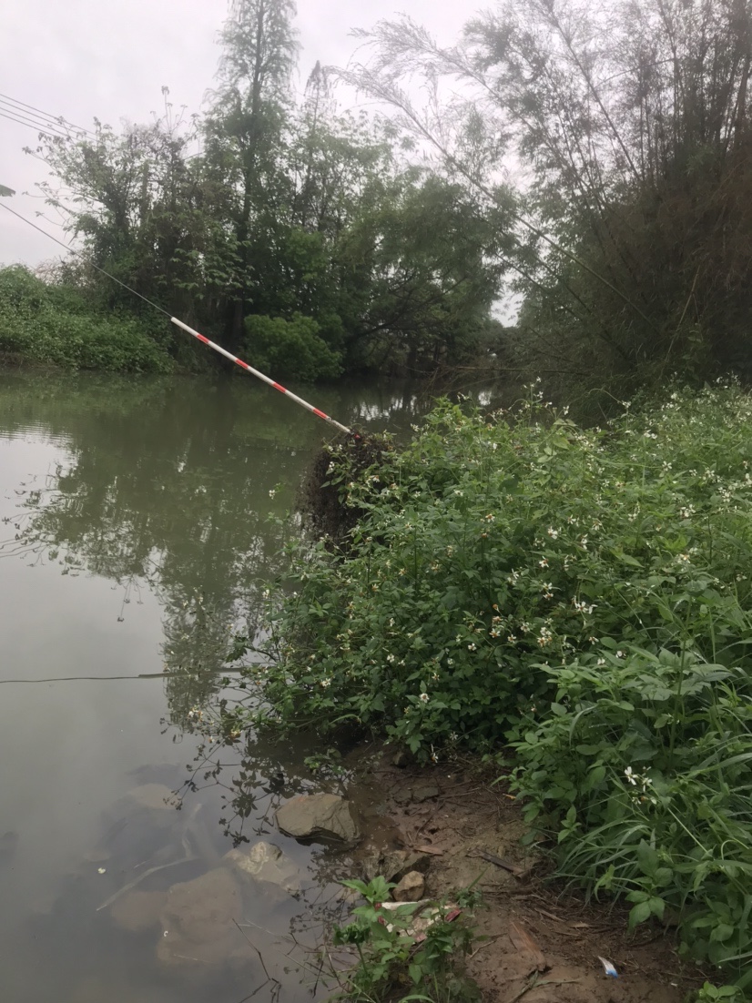 钓鱼独行者,野钓独行者
