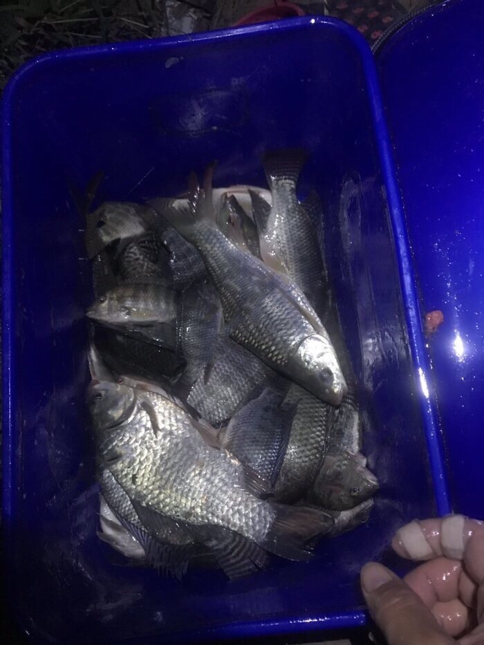 钓鱼独行者,野钓独行者