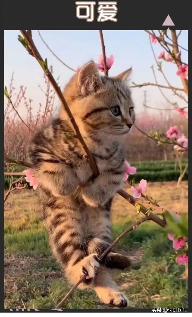 一个月瘦20斤的运动方法,两个月瘦20斤的最佳方法且不反弹