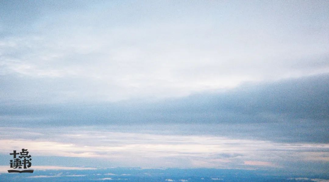 《麦田里的守望者》:一个人成熟的标志,是学会接纳和忍耐