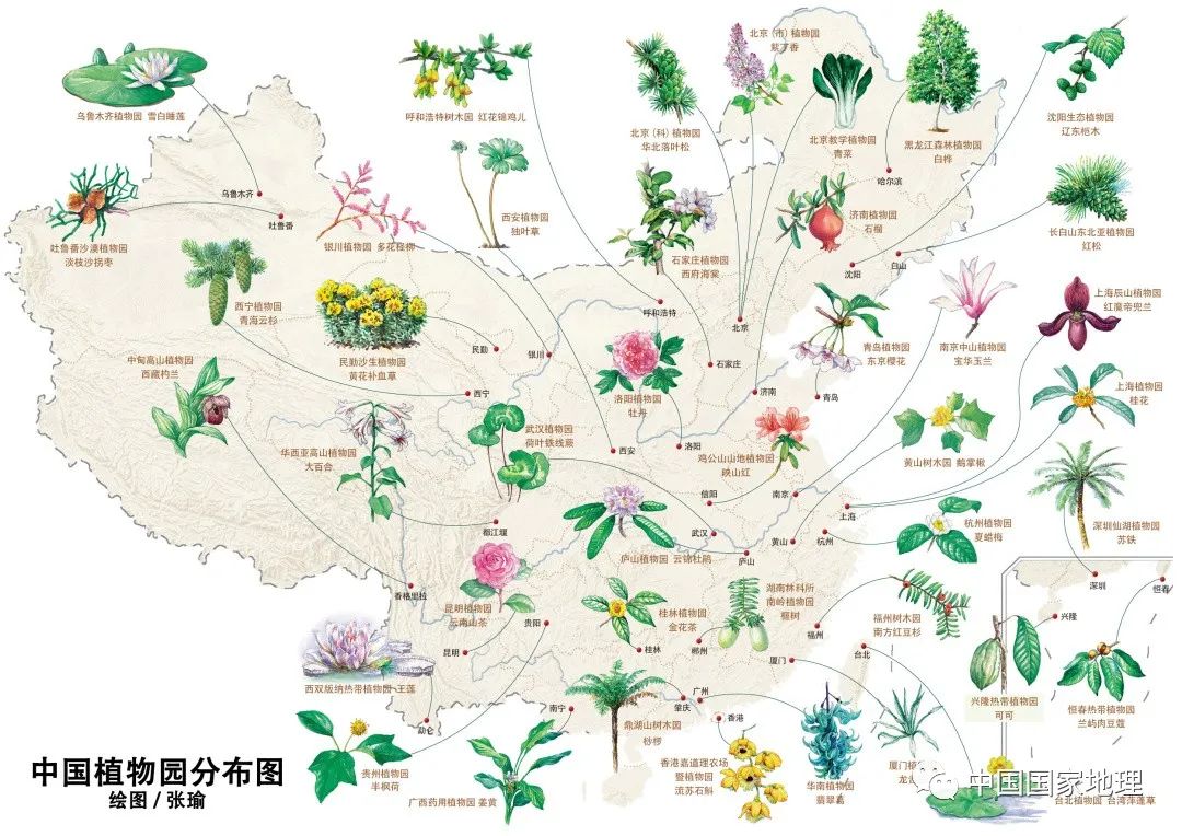 中国之美在于航天之美,中国之美在于什么