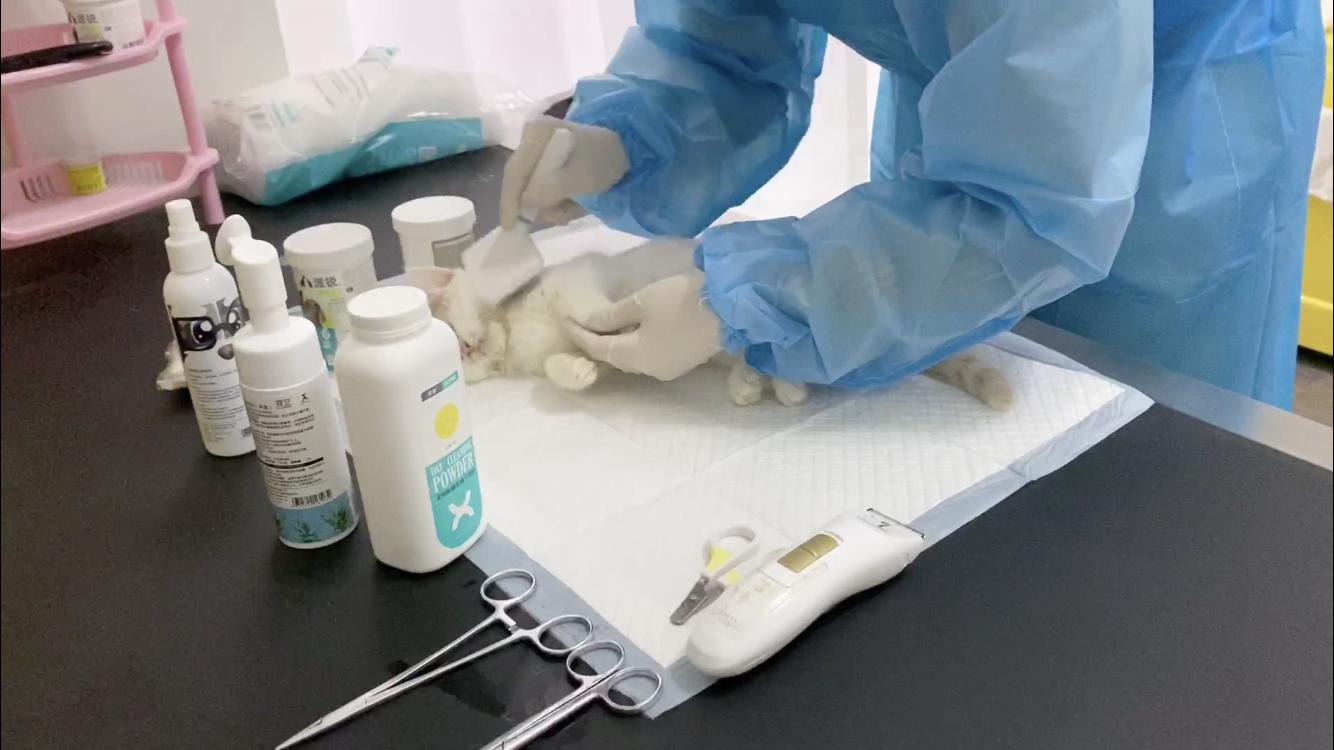 殡葬行业灵魂摆渡人,灵魂摆渡人殡葬师