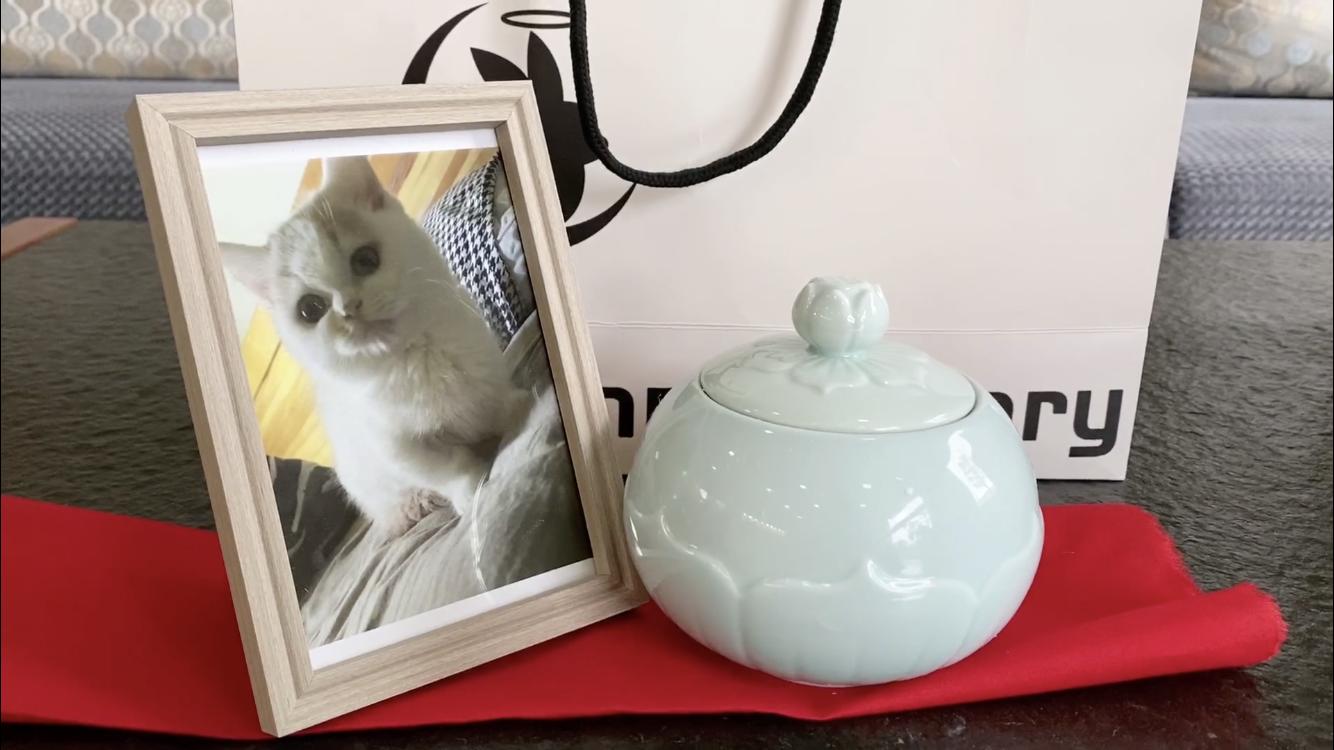 殡葬行业灵魂摆渡人,灵魂摆渡人殡葬师