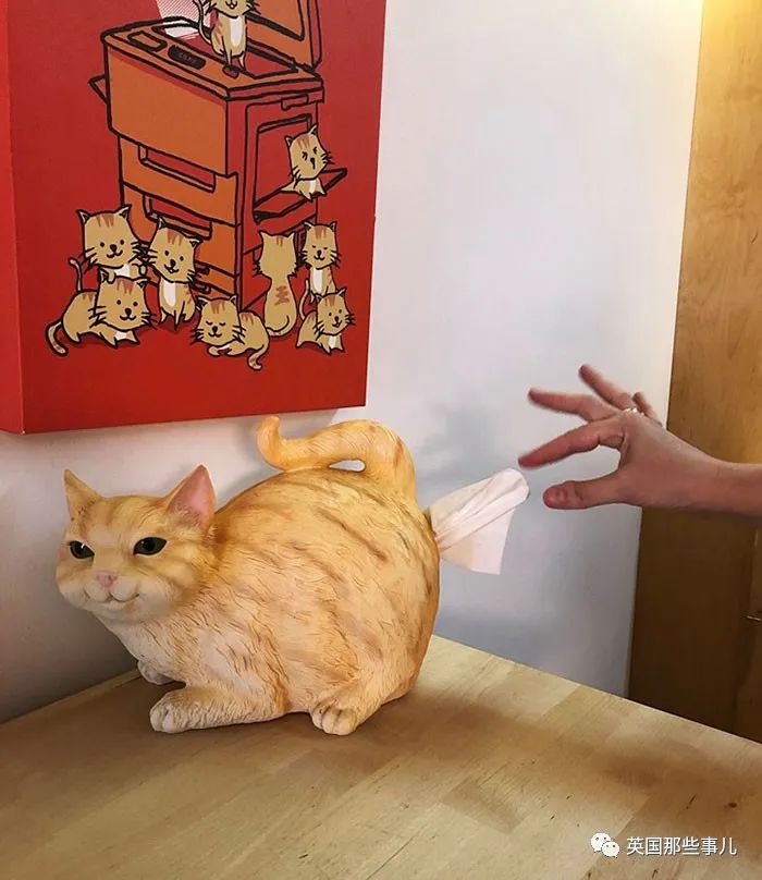 旧货市场淘到有趣的东西,网友们在旧货店发现的各种宝贝