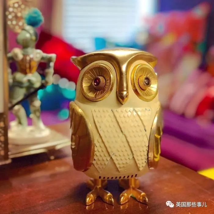 旧货市场淘到有趣的东西,网友们在旧货店发现的各种宝贝