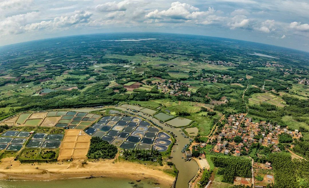 中国菠萝第一镇在哪里,波罗的海在中国哪个省