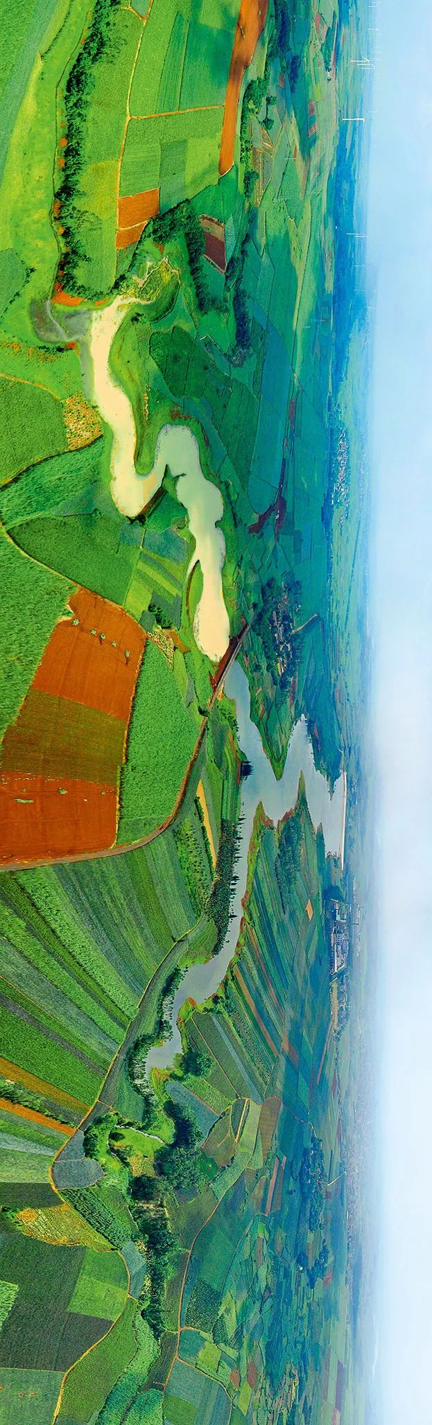 中国菠萝第一镇在哪里,波罗的海在中国哪个省