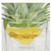 中国菠萝第一镇在哪里,波罗的海在中国哪个省