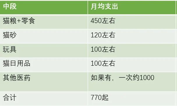 猫是当代年轻人的精神寄托,为什么说猫是最完美的猎手