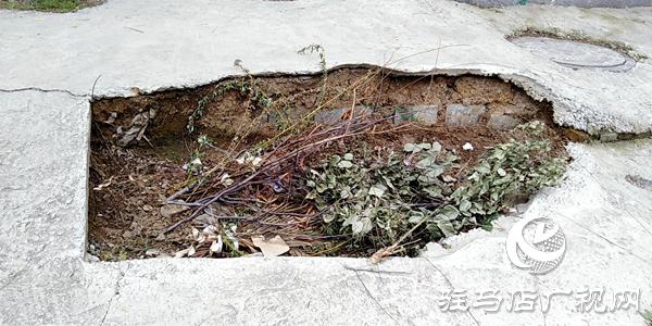 路有坑找谁修,路有大坑应该怎么办