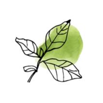 颜值高的洗护套装,国产洗护用品有哪些品牌