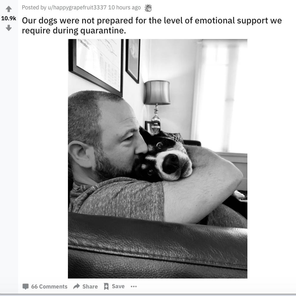 隔离期间的迷惑行为第二弹，成年人的崩溃就在一瞬间